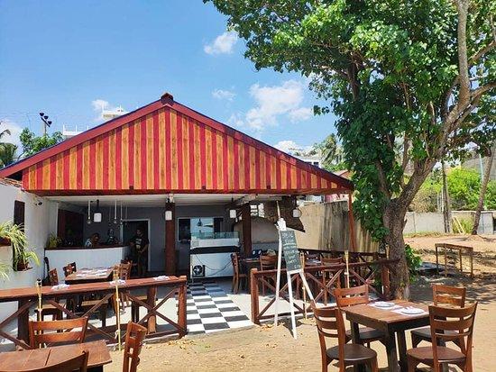 Surfing Wombats Mirissa